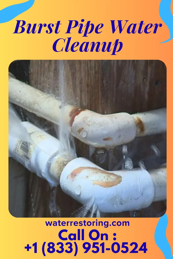 Burst Pipe Water Cleanup in Sailor Springs, IL