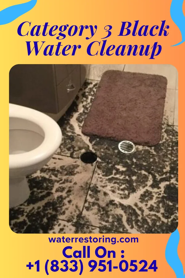 Category 3 Black Water Cleanup in Sailor Springs, IL