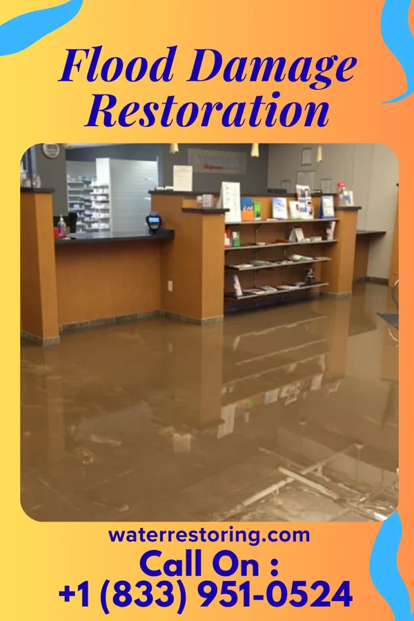 Flood Damage Restoration in Sailor Springs, IL