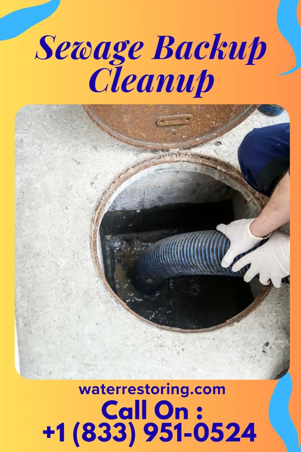 Sewage Backup Cleanup in Sailor Springs, IL