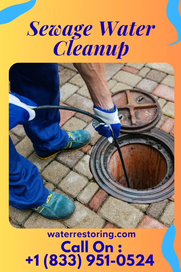 Sewage Water Cleanup in Sailor Springs, IL